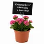 TÜSKE - (20cm) INOX árcímke tartó