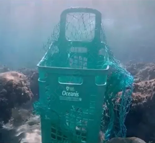 65L Gurulós bevásárló kosár -  Oceanis (X0295)